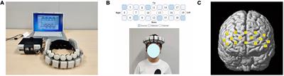 Neural and behavioral alterations of a real-time interpersonal distance (IPD) development process in differing social status interactions